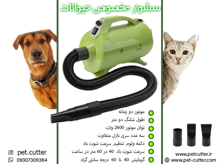 سشوار سبزپوستر.jpg