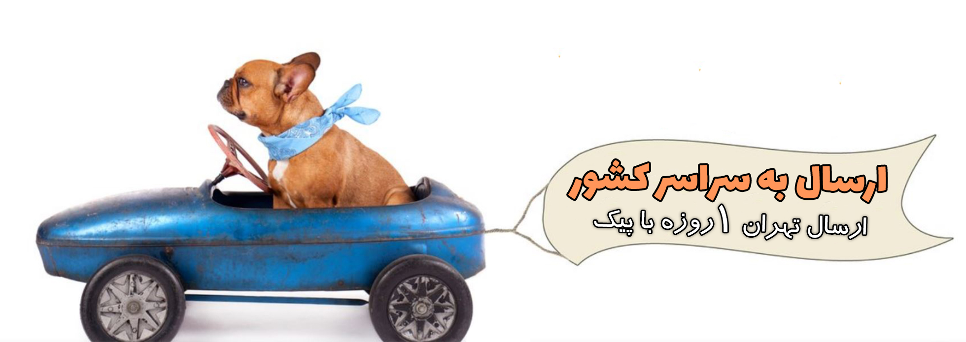 برندها