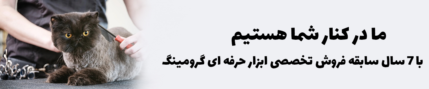 تک 2